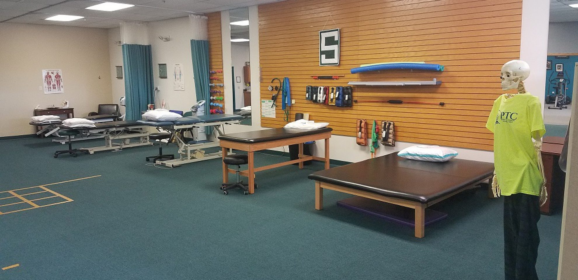 croppedcarousel71.jpg Physical Therapy Connection